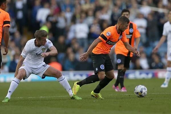Brighton & Hove Albion 2014-15: Away Game at Leeds United (August 19, 2014)