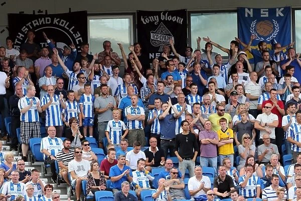 Brighton & Hove Albion 2014-15: Home Game vs Sheffield Wednesday (September 8th, 2014)