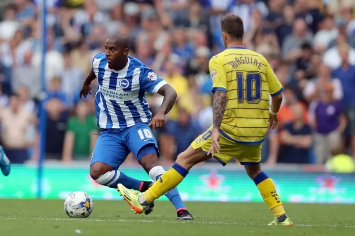 Framed Print : Brighton & Hove Albion 2014-15: Home Game vs. Sheffield Wednesday (September 8, 2014) Framed Print : Brighton & Hove Albion 2014-15: Home Game vs. Sheffield Wednesday (September 8, 2014)
