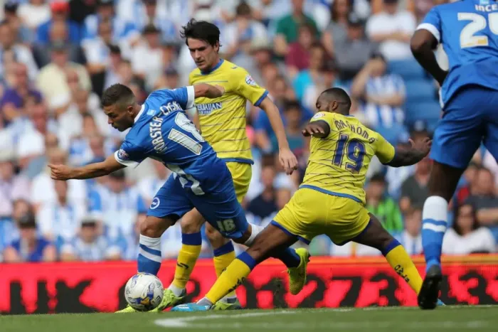 Framed Print : Brighton & Hove Albion 2014-15: Home Game vs Sheffield Wednesday (September 8th, 2014) Framed Print : Brighton & Hove Albion 2014-15: Home Game vs Sheffield Wednesday (September 8th, 2014)