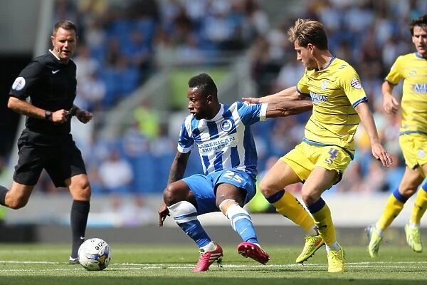 Brighton & Hove Albion 2014-15: Home Match Against Sheffield Wednesday (September 8th)