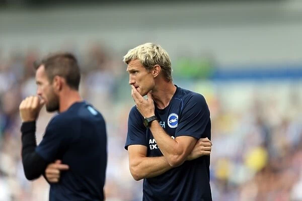 Brighton & Hove Albion 2014-15: Home Match against Sheffield Wednesday (September 8th, 2014)