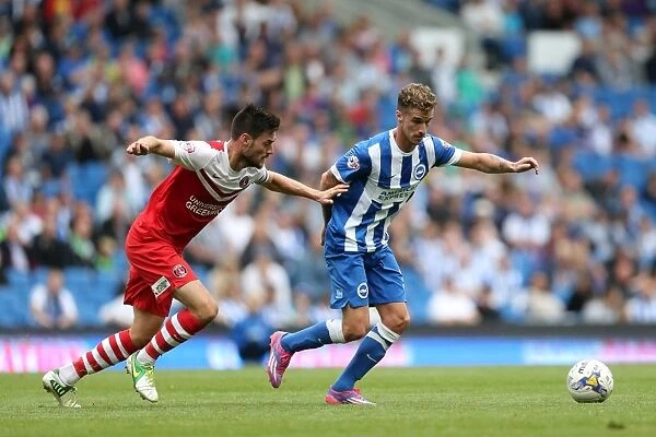 Brighton & Hove Albion 2014-15: Home Match against Charlton (August 30)