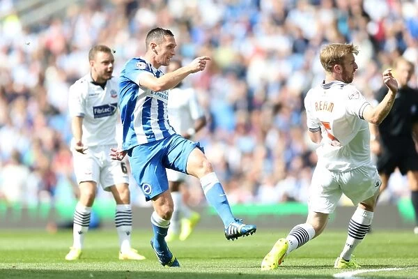 Brighton & Hove Albion 2014-15: Home Match vs. Bolton Wanderers (August 23)
