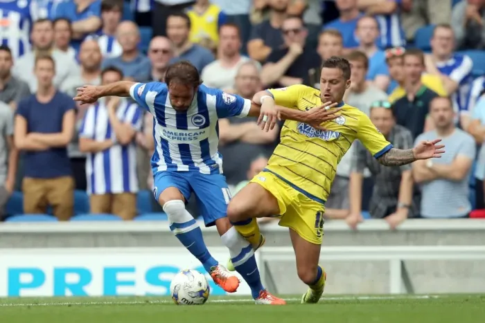 Framed Print : Brighton & Hove Albion 2014-15: Home Match vs Sheffield Wednesday (September 8th) Framed Print : Brighton & Hove Albion 2014-15: Home Match vs Sheffield Wednesday (September 8th)