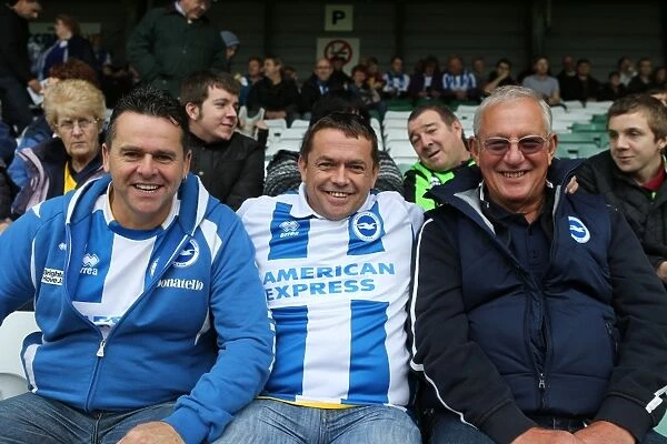 Brighton and Hove Albion Away Days 2013-14: Yeovil Town - Fan Crowd Moments