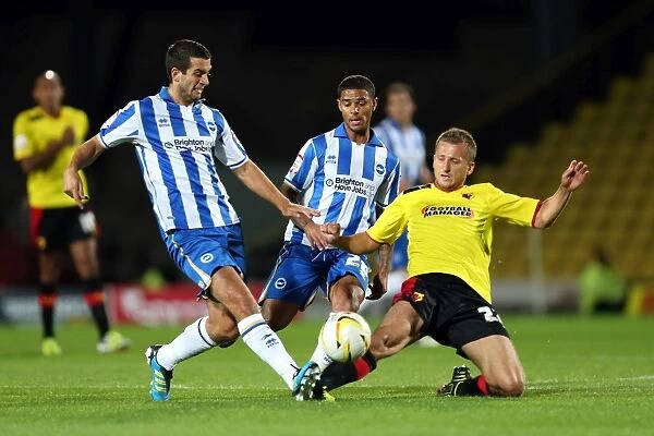 Brighton & Hove Albion Away Games: 2012-13 Season - Watford (18-09-2012): Highlights