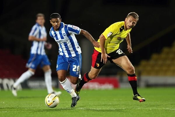 Brighton & Hove Albion Away at Watford - 2012-13 Season