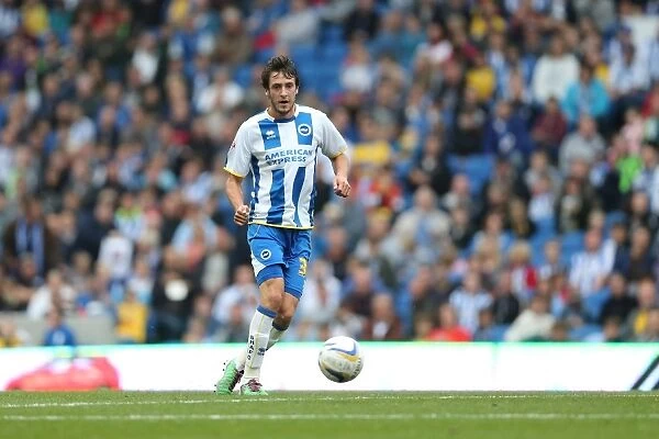 Brighton & Hove Albion: Will Buckley in Action against Bolton Wanderers, Skybet Championship 2013