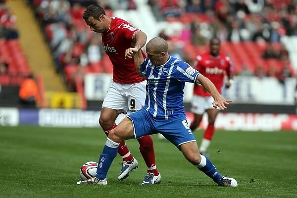Brighton & Hove Albion at Charlton Athletic (2010-11 Season): Away Game