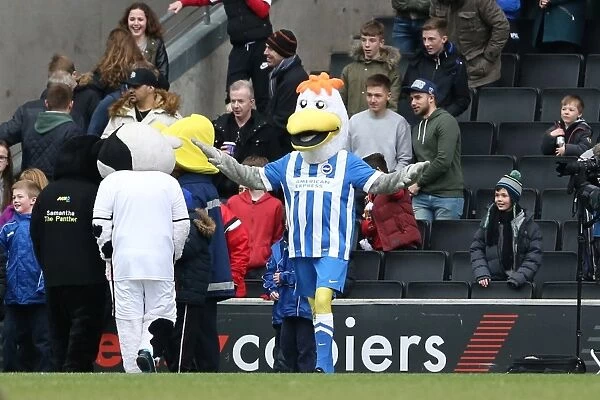 Brighton and Hove Albion Clinch Championship Victory over MK Dons (19MAR16)