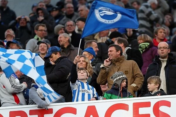 Brighton & Hove Albion: The Electric Amex Stadium Crowd (2011-2012)
