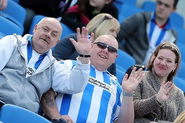 Brighton & Hove Albion: Electric Atmosphere - Unforgettable Crowd Moments at The Amex (2012-13)