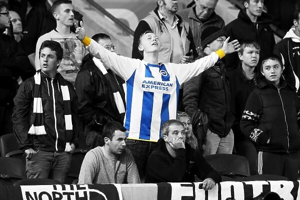 Brighton & Hove Albion: Electric Atmosphere - Crowd Shots from the Amex Stadium (2013-14 Season - Sheffield Wednesday Game)