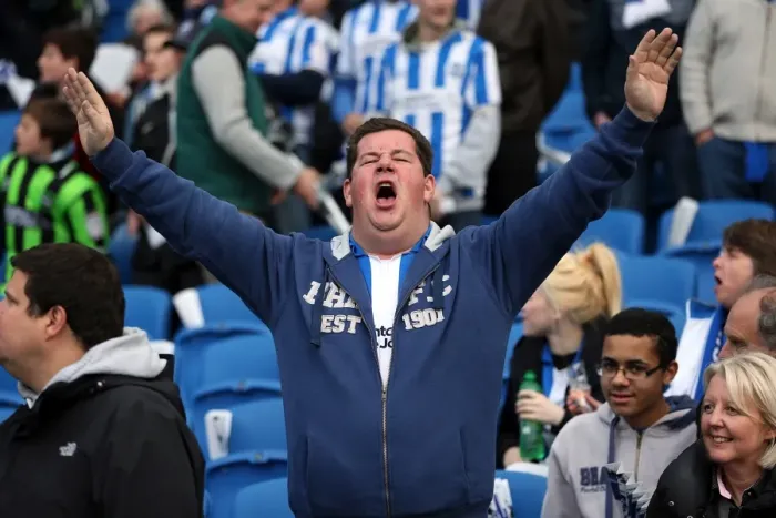 Framed Print : Brighton & Hove Albion: The Electric Atmosphere at The Amex (2012-2013) - Fans in Action