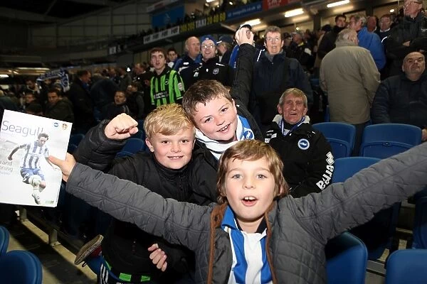 Brighton & Hove Albion: Electric Atmosphere at The Amex (2012-2013)