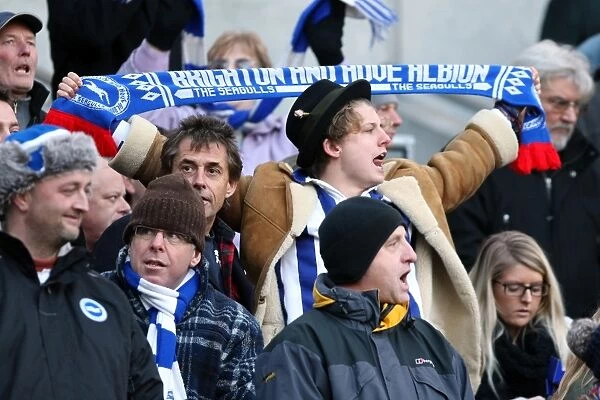 Brighton and Hove Albion: Electric Atmosphere - Crowd Shots from The Amex Stadium (2011-2012)