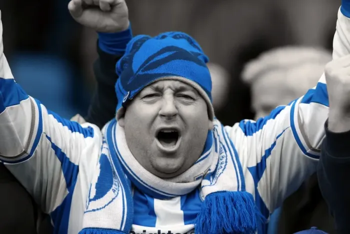Framed Print : Brighton and Hove Albion: Electric Atmosphere - Crowd Shots from The Amex Stadium (2012-2013) Framed Print : Brighton and Hove Albion: Electric Atmosphere - Crowd Shots from The Amex Stadium (2012-2013)