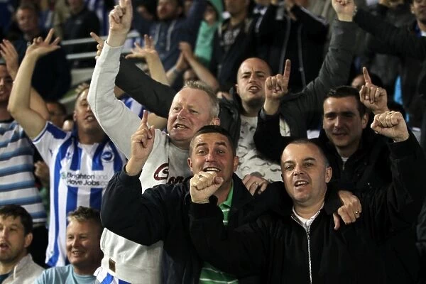 Brighton & Hove Albion: Electrifying Crowd Moments at The Amex (2012-2013)