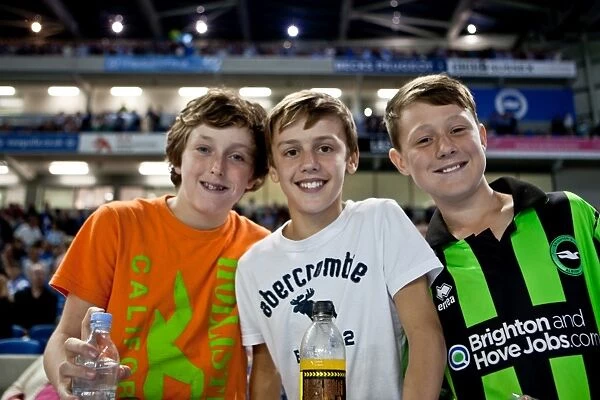 Brighton and Hove Albion: Electrifying Fan Experiences at The Amex Stadium (2012-2013) - Unforgettable Crowd Moments