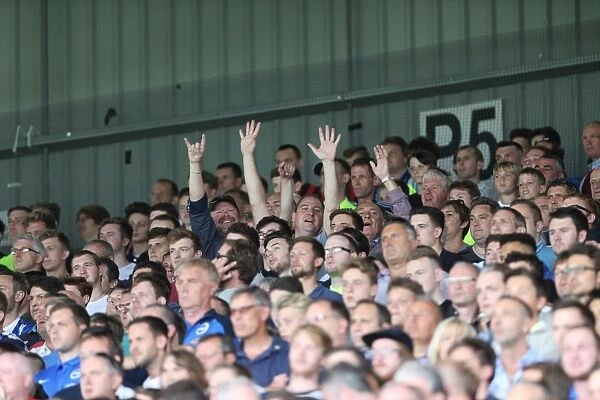 Brighton and Hove Albion: Euphoric Fans Celebrate Championship Victory at Craven Cottage (15 Aug 2015)