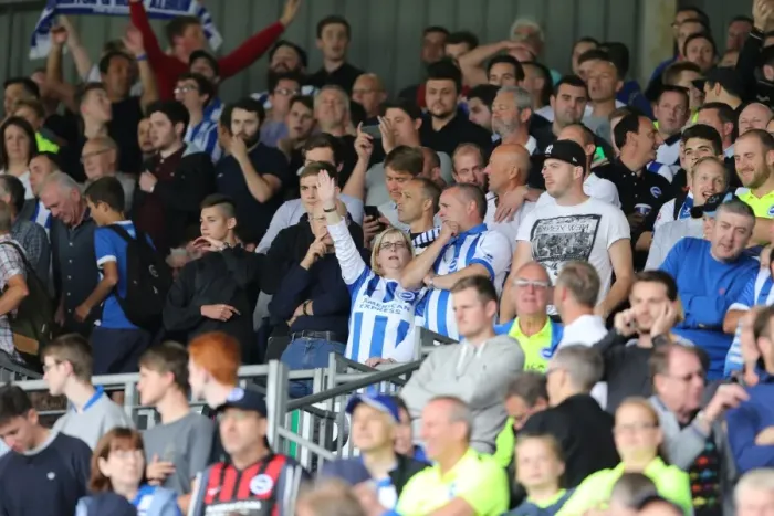 Framed Print : Brighton and Hove Albion: Euphoric Fans Celebrate Championship Victory at Craven Cottage (15th August 2015) Framed Print : Brighton and Hove Albion: Euphoric Fans Celebrate Championship Victory at Craven Cottage (15th August 2015)