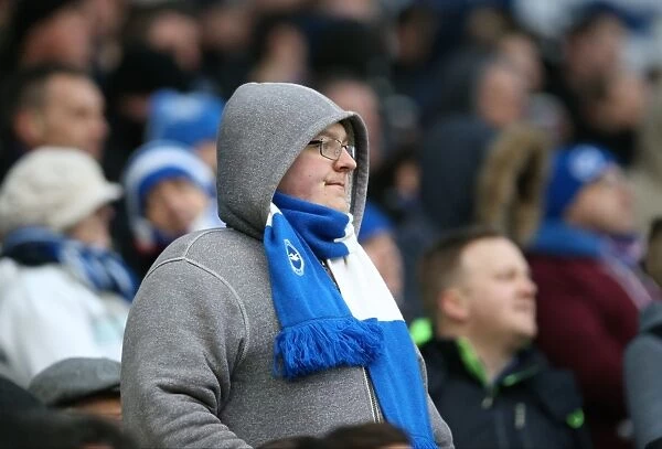Brighton and Hove Albion Fans in Action: Sky Bet Championship Match vs. Nottingham Forest (07FEB15)