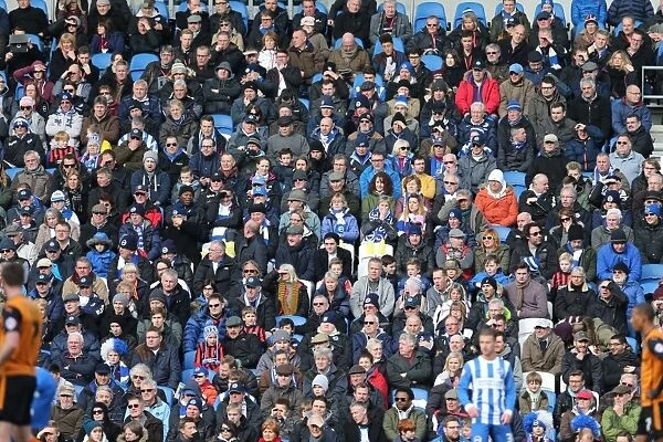 Brighton and Hove Albion Fans in Action: Sky Bet Championship Showdown vs. Wolverhampton Wanderers (14MAR15)