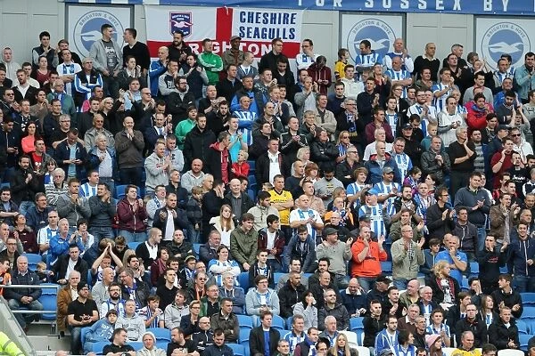 Brighton & Hove Albion Fans in Action at American Express Community Stadium during SkyBet Championship Match vs. Rotherham United (25th October 2014)