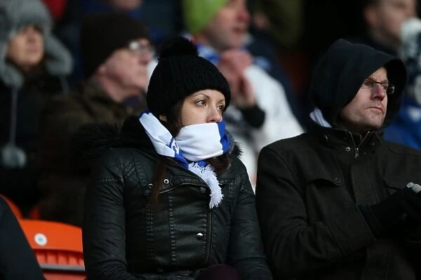 Brighton and Hove Albion Fans in Action at Bloomfield Road during the Sky Bet Championship Match vs Blackpool (31Jan15)