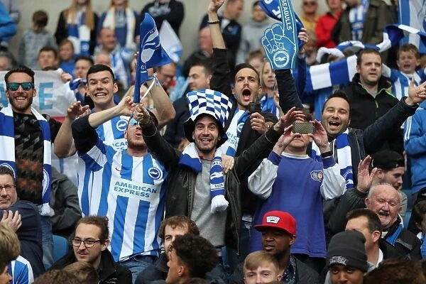 Brighton and Hove Albion Fans in Action during the EFL Sky Bet Championship Match vs. Wigan Athletic (17APR17)