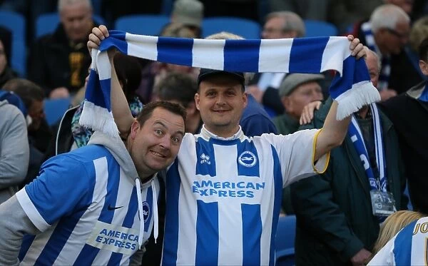 Brighton and Hove Albion Fans in Action during the Sky Bet Championship Match vs AFC Bournemouth (10 April 2015)