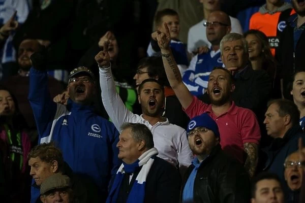 Brighton & Hove Albion Fans at American Express Community Stadium during SkyBet Championship Match vs. Bournemouth (1st November 2014)