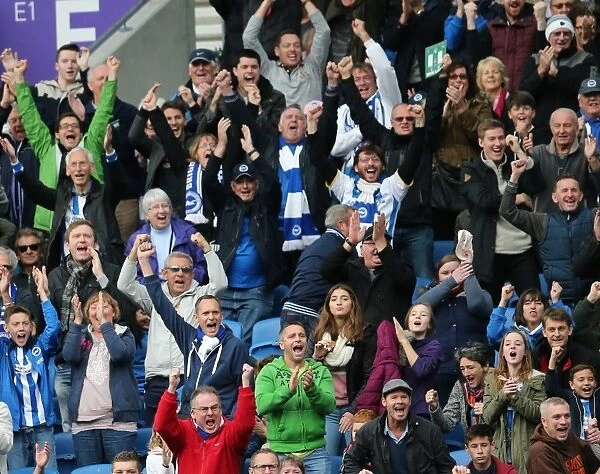 Brighton & Hove Albion Fans Celebrate at American Express Community Stadium during SkyBet Championship Match vs. Rotherham United (2014)