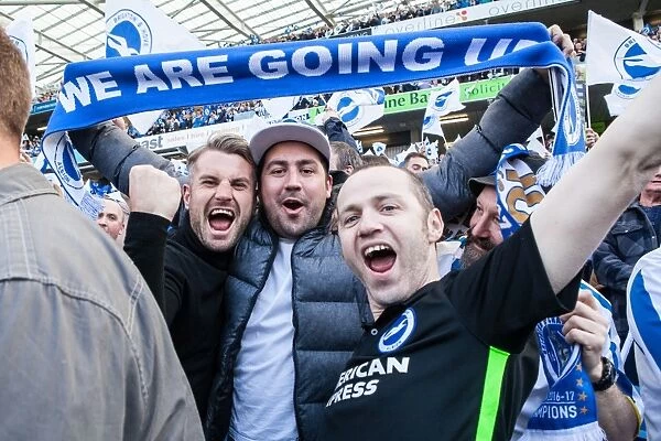 Brighton and Hove Albion Fans Celebrate at American Express Community Stadium during EFL Sky Bet Championship Match vs. Bristol City (29APR17)