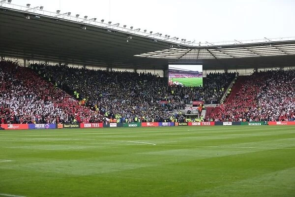 Brighton and Hove Albion Fans Celebrate Promotion to Premier League at Middlesbrough's Riverside Stadium (07 / 05 / 2016)