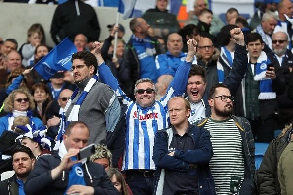 Brighton and Hove Albion Fans Celebrate Promotion to Premier League at American Express Community Stadium (17th April 2017 vs Wigan Athletic)