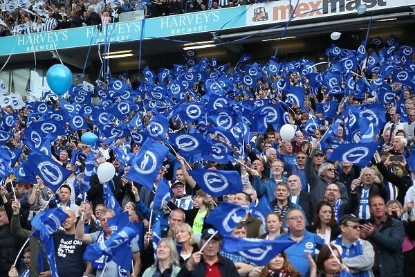 Brighton and Hove Albion Fans Celebrate Promotion to Premier League at American Express Community Stadium (29APR17)