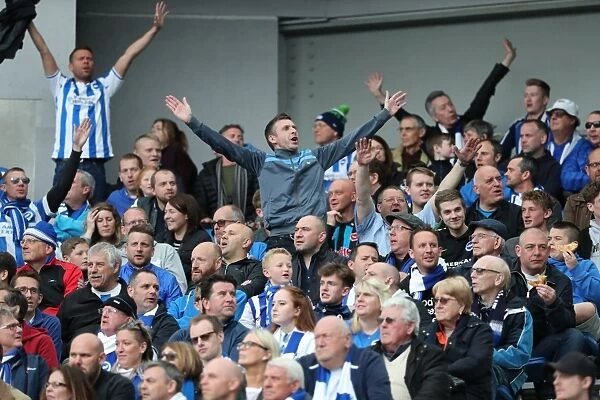 Brighton and Hove Albion Fans Celebrating at American Express Community Stadium during EFL Sky Bet Championship Match vs. Wigan Athletic (17th April 2017)