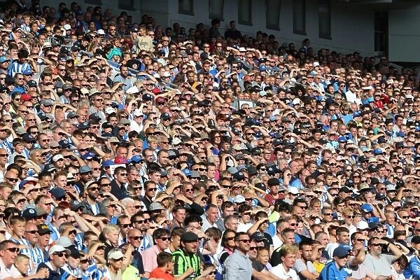 Brighton and Hove Albion Fans Cheer at the American Express Community Stadium During Pre-Season Friendly Against Atletico de Madrid (06AUG17)