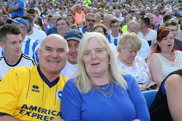 Brighton and Hove Albion Fans Cheer on Their Team against Sevilla FC at the American Express Community Stadium (02.08.2015)