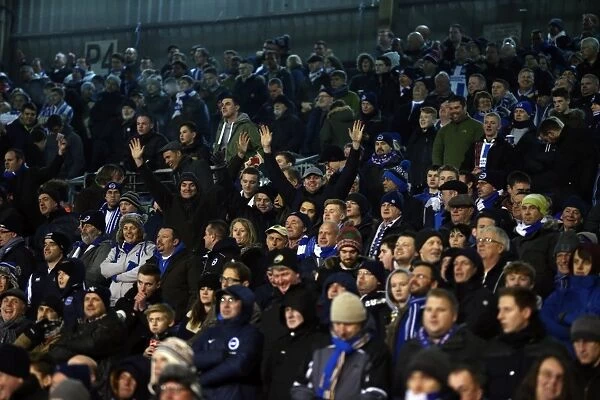 Brighton & Hove Albion Fans at Craven Cottage during Fulham Match, December 2014