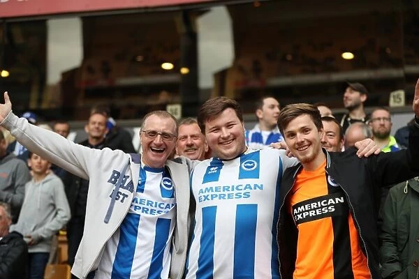 Brighton & Hove Albion Fans Epic Moment at Molineux Stadium: Passion and Pride during Wolverhampton Wanderers vs. Championship Clash (14th April 2017)