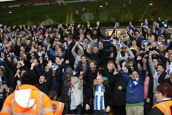 Brighton & Hove Albion Fans Epic Moment at Wolves: Passion and Pride in the Championship Clash (14th April 2017)