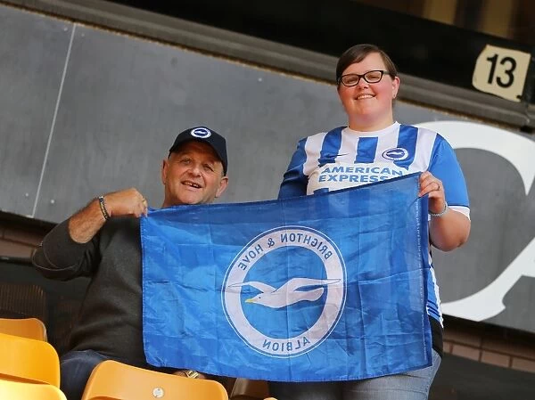 Brighton and Hove Albion Fans Epic Showdown at Molineux Stadium, Sky Bet Championship 2015