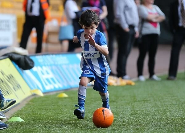 Brighton and Hove Albion Fans Epic Showdown at Molineux: Sky Bet Championship 2015