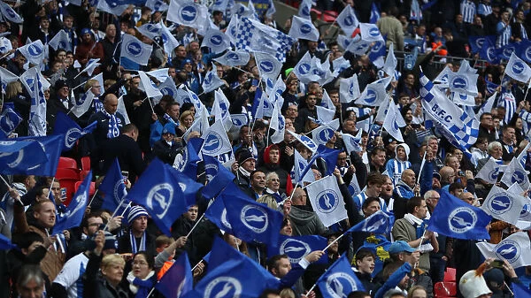 Brighton and Hove Albion Fans Epic Show of Support at FA Cup Semi-Final vs Manchester City, Wembley Stadium (2019)