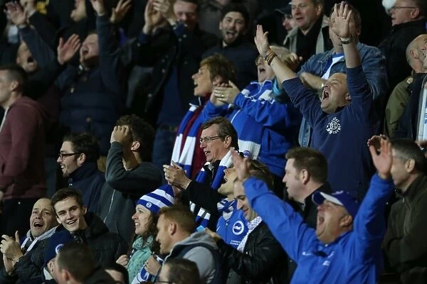 Brighton & Hove Albion Fans Euphoria: Promotion to Premier League Celebrated at American Express Community Stadium