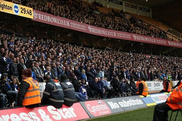 Brighton & Hove Albion Fans Euphoric Moment at Molineux Stadium during the Championship Clash vs. Wolverhampton Wanderers (14th April 2017)