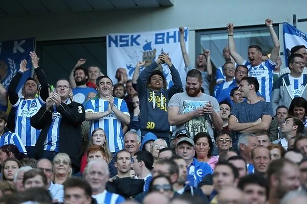 Brighton and Hove Albion Fans in Full Force: A Sea of Colors Against Middlesbrough (18OCT14)
